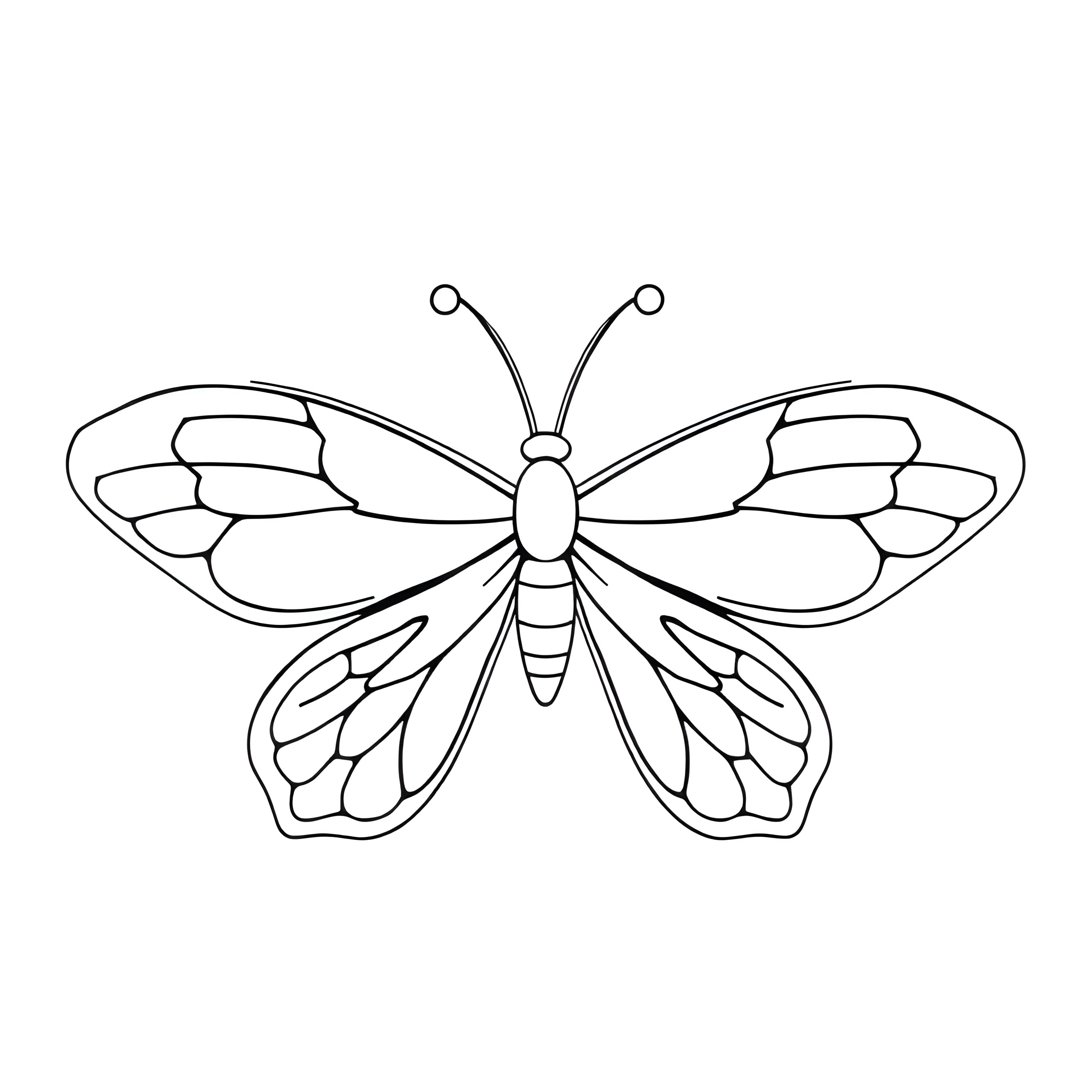 Butterfly Garden Adventure