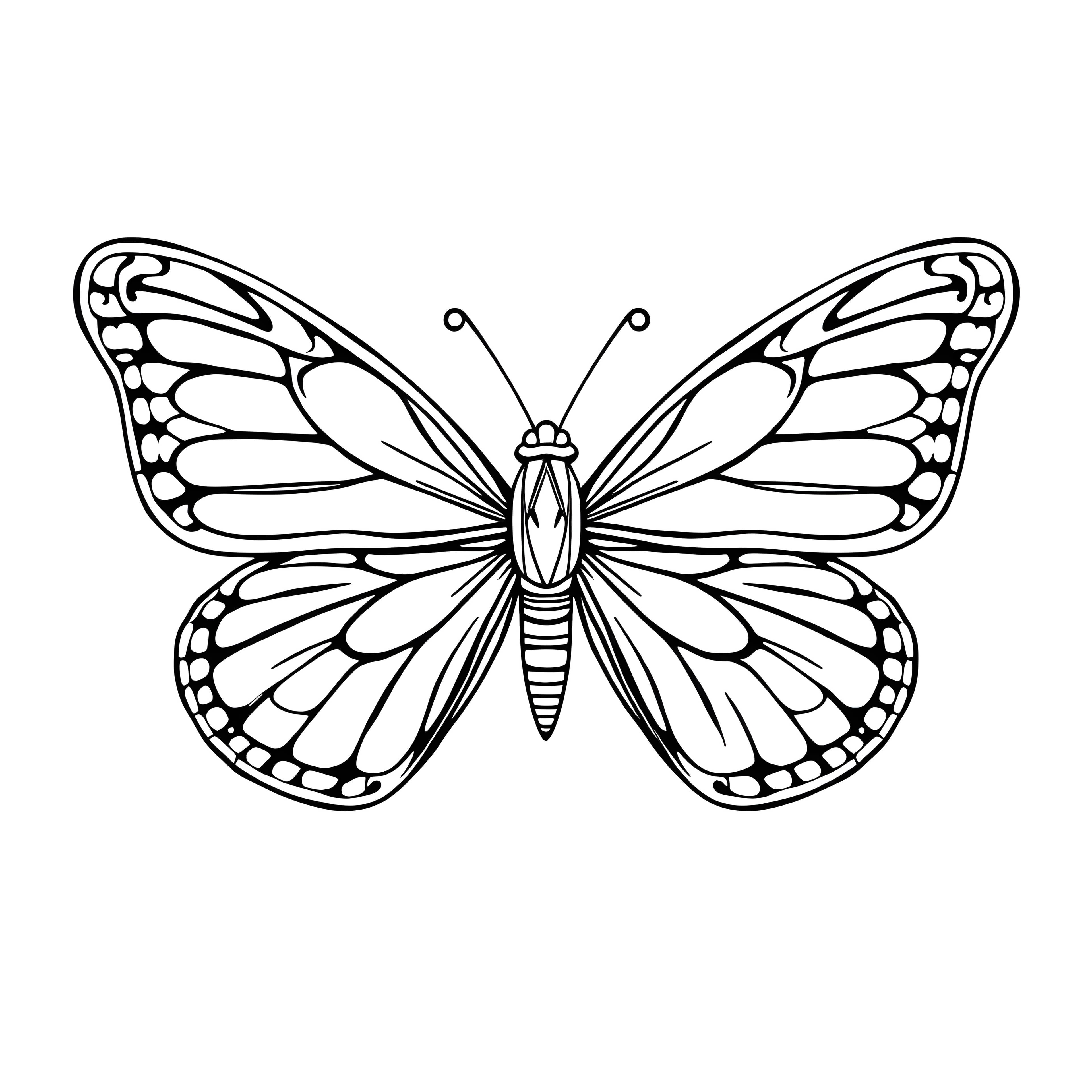 Mandala Butterfly Design