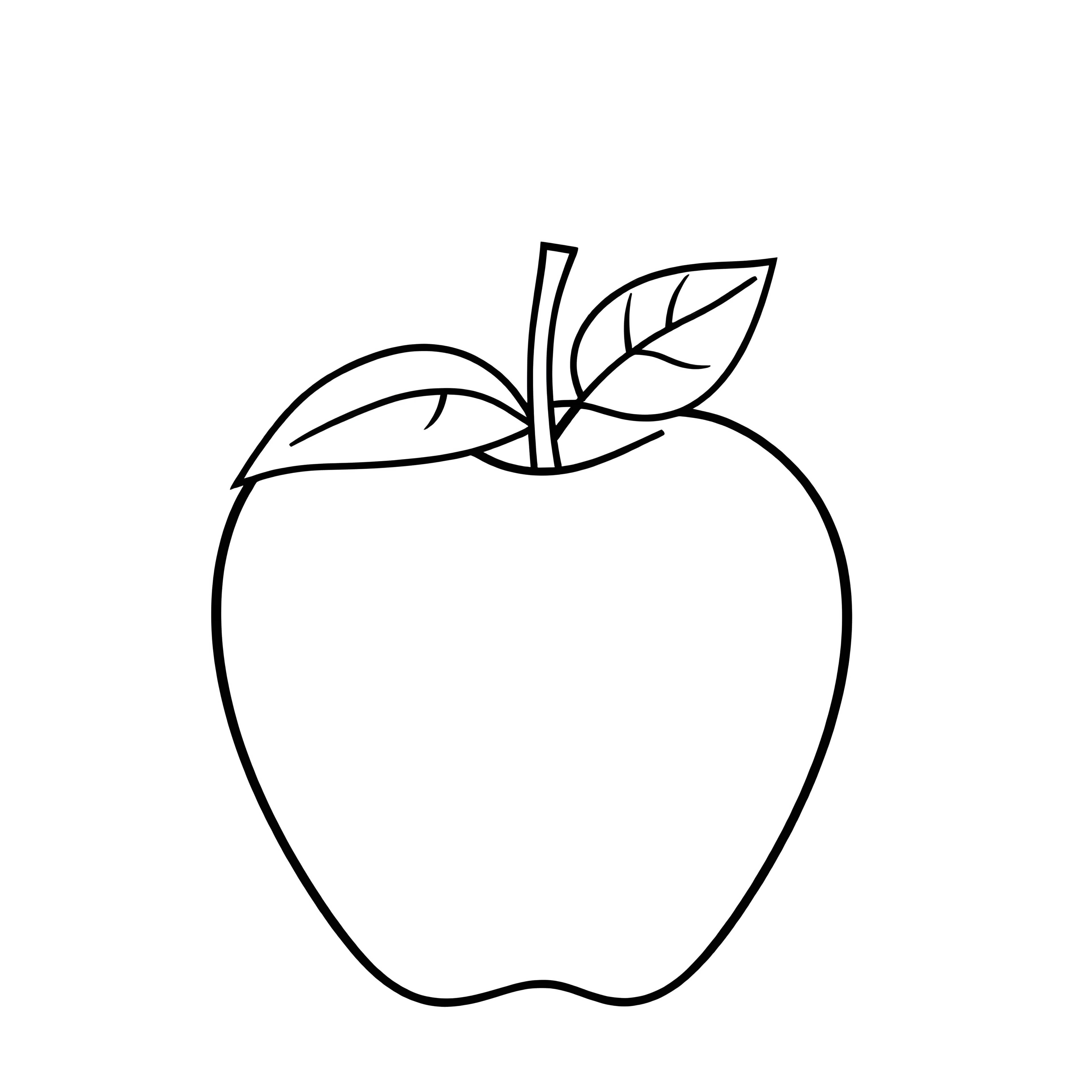 Realistic Apple with Detailed Leaf Outline