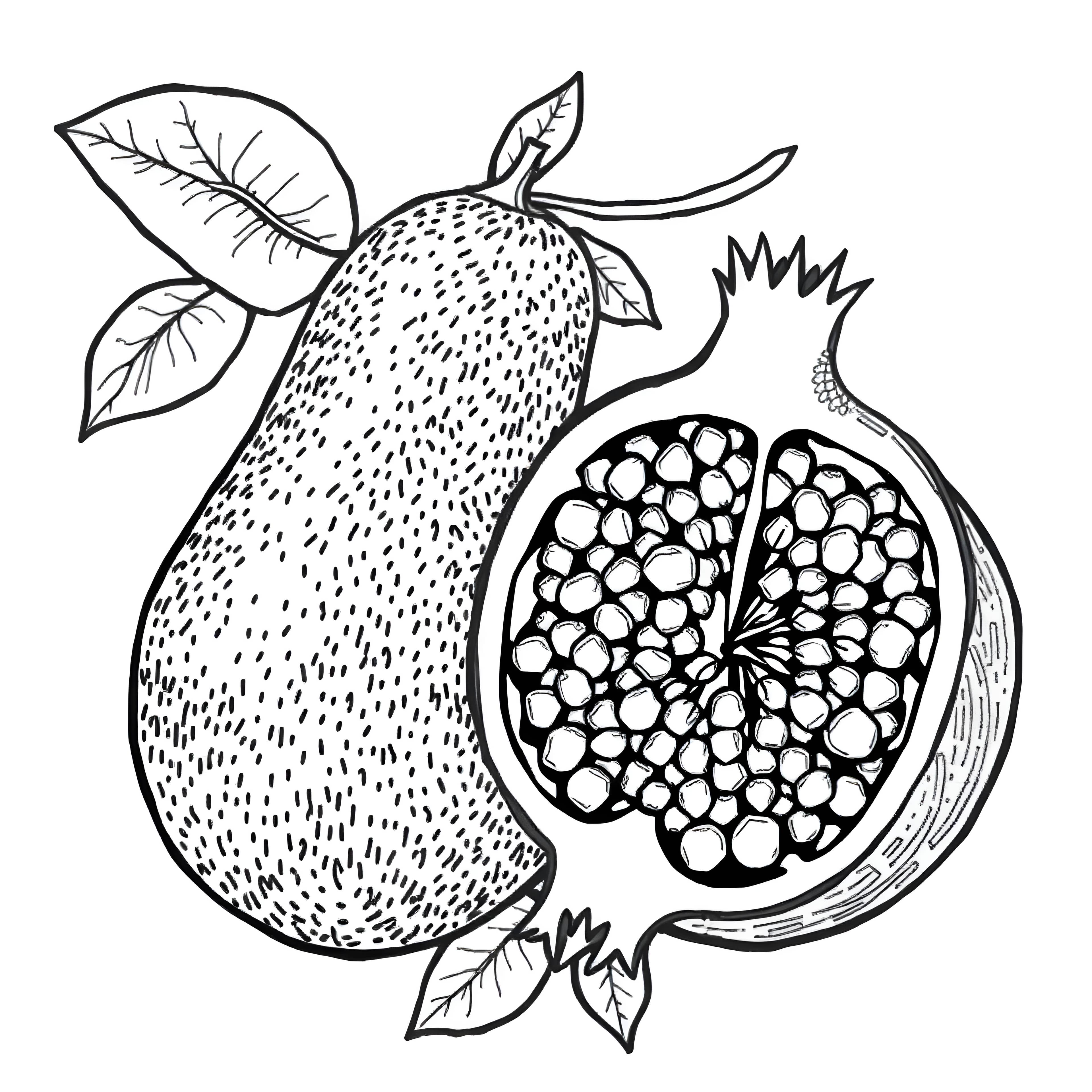 Realistic Avocado and Pomegranate Cross-Section