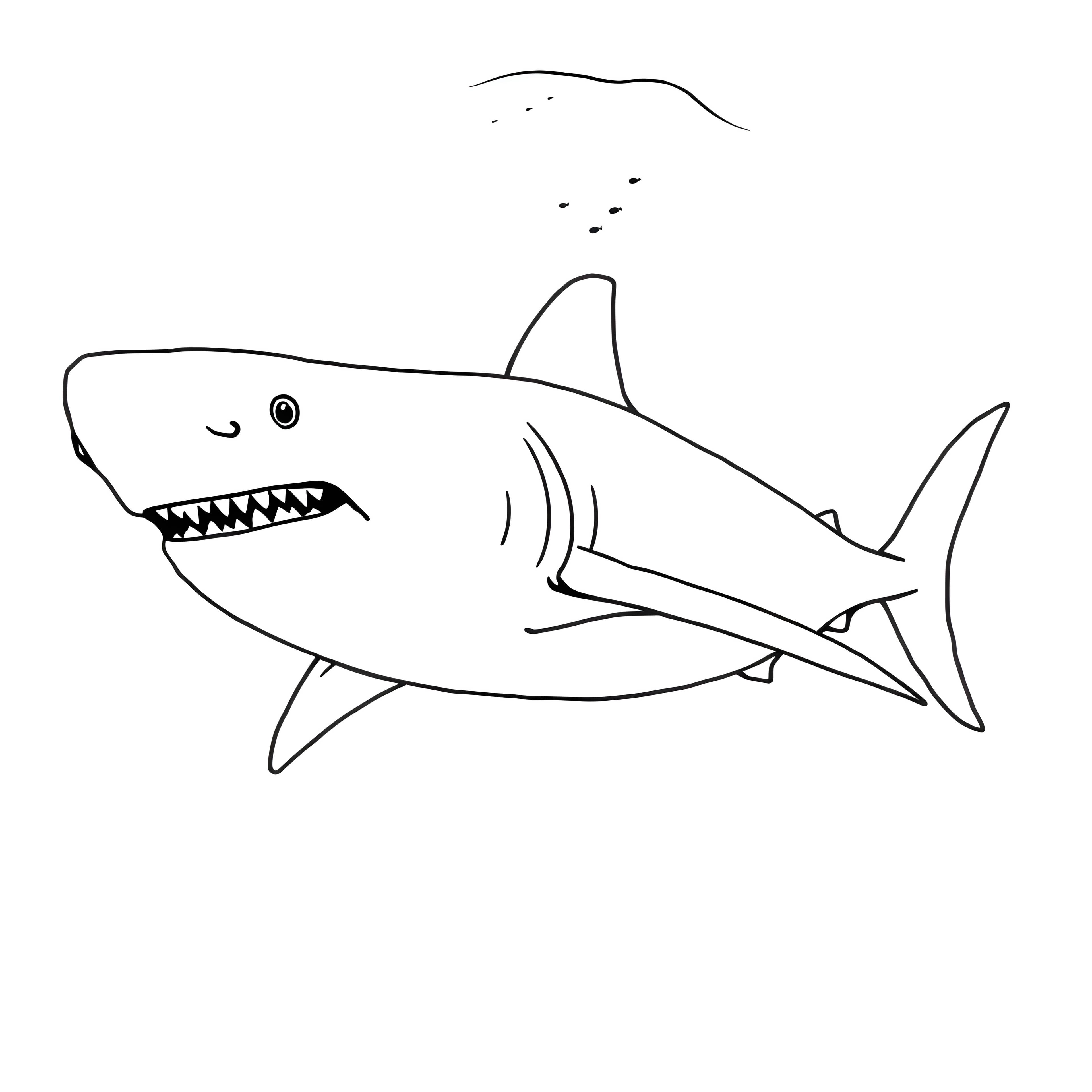 Underwater Shark Adventure for Kids