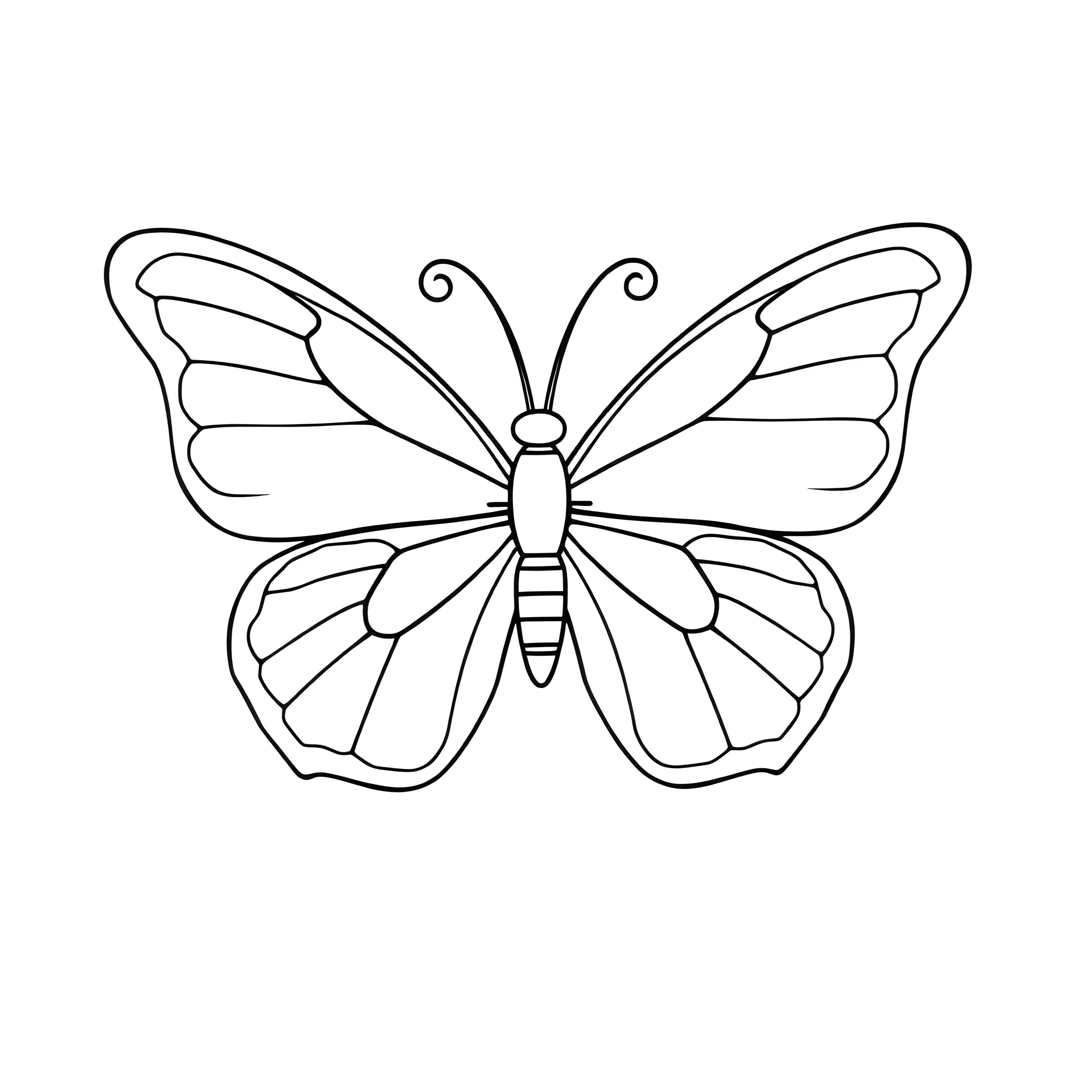 Whimsical Butterfly Design